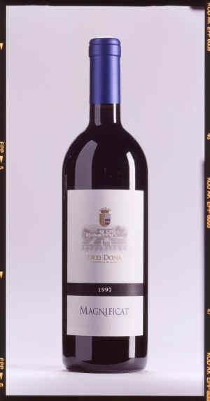Cabernet Saouvignon - Forl� I.G.T.